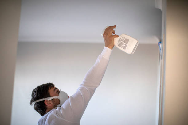 Best Mold Cleaning Services  in Shullsburg, WI